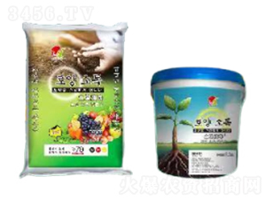 ��������-���������