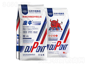 �{�����|(zh��)��Ч��-��ţ-�Ű�