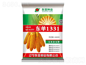 �|��1331-���׷N��-�|���N�I(y��)