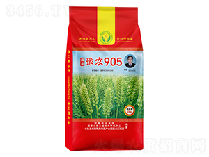 ����ԥ�r(n��ng)905С���N��-���N�I(y��) 