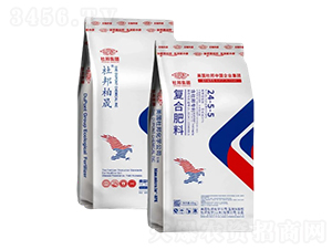 ��(f��)�Ϸ���24-5-5-�Ű����-�Ű�