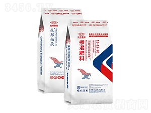 �������18-12-20-�Ű����-�Ű�