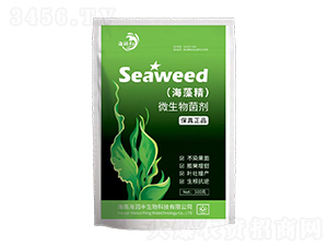 ΢�������-���徫-����