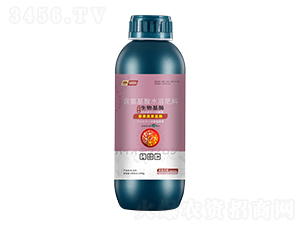 ���������ø-���_��