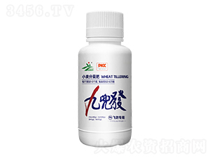 �Ŷ��l(f��)-�����r(n��ng)�I(y��)