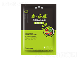 �A������Ͷ��Ǐ�(f��)������ø-������-�f(w��n)���t-������