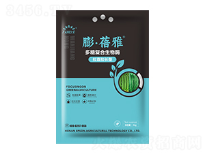 ��ֱ���L(zh��ng)�Ͷ��Ǐ�(f��)������ø-������-�f(w��n)���t-������